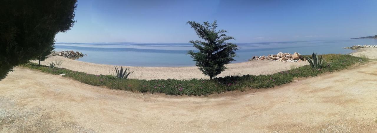 Porto Almira Beachfront House Nikiti  Dış mekan fotoğraf